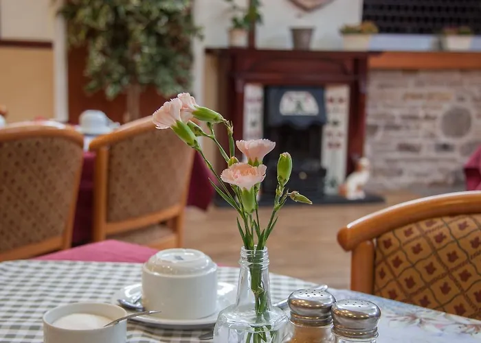 The Buck ホテル リース