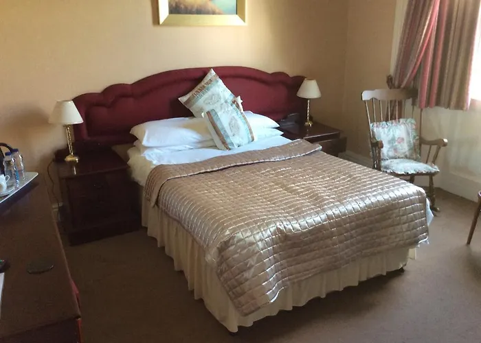 The Buck ホテル 3*