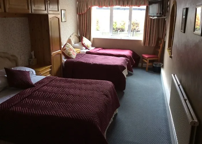 The Buck 3* リース