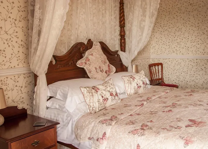 The Buck 3* リース