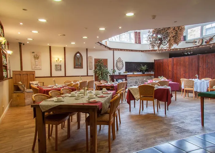 The Buck 3* リース