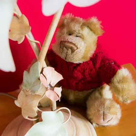 Отель The Buck Рит