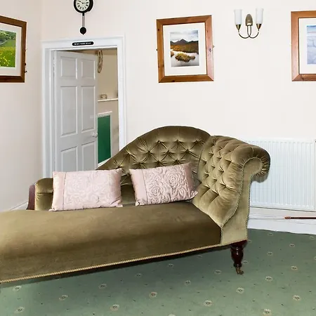 Отель The Buck Рит