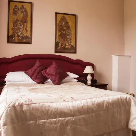 Отель The Buck 3*