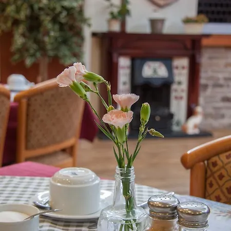 The Buck 호텔 리스